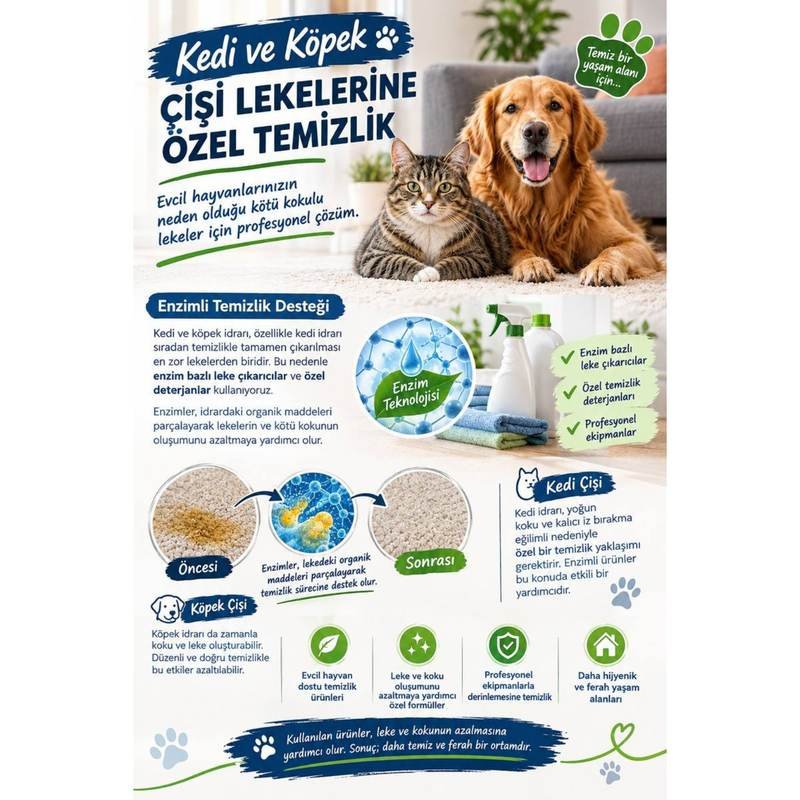 Kedi ve Köpek Çişi Lekesi ve Koku Temizliği